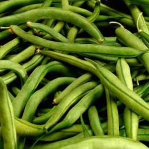 Meet your Posher, Charity